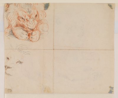 Leijonan pää ja tassut, verso, 1700- tai 1800-luku tekijältä George Stubbs