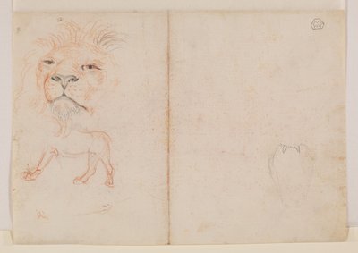 Leijonan pää, verso, 1700- tai 1800-luku tekijältä George Stubbs
