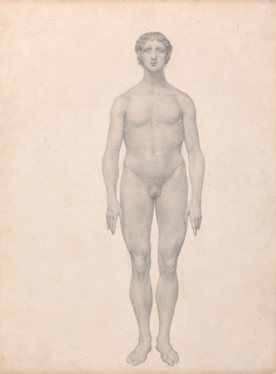 Ihmishahmo, etunäkymä, leikkaamaton (valmiit taulukon VI tutkimus) tekijältä George Stubbs