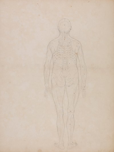 Ihmishahmo, takanäkymä tekijältä George Stubbs