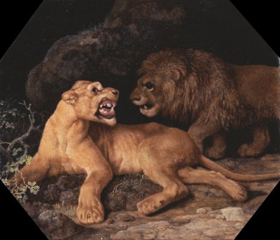 Leijona ja leijonatar tekijältä George Stubbs
