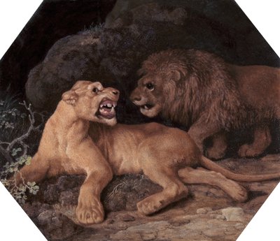 Leijona ja leijona, 1770. tekijältä George Stubbs