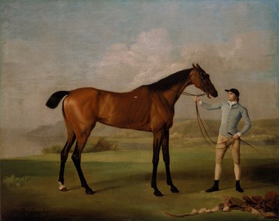 Molly Long-legs ja sen Jockey tekijältä George Stubbs