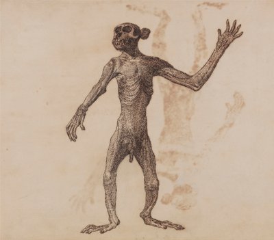 Apina seisoo, näkymä edestä tekijältä George Stubbs