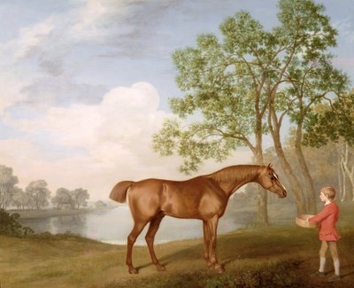 Kurpitsa tallilla tekijältä George Stubbs