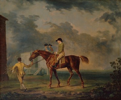 Sir Salomon, A Bay Racehorse ja J. Singleton, Newmarket (öljy kankaalle) tekijältä George Stubbs