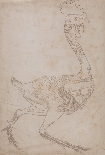 Tutkimus linnusta, sivuttaisnäkymä, vertailevasta anatomisesta esityksestä ihmiskehon rakenteesta tiikerin ja linnun rakenteen kanssa, 1795-1806 (grafiitti ja punainen liitu paperille) tekijältä George Stubbs
