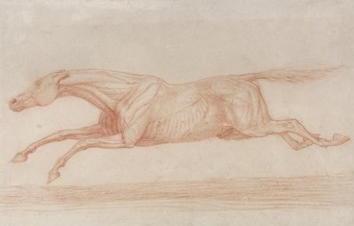 Tutkimus kilpahevosesta toiminnassa: laukkaa vasemmalle (punainen liitu kiillotuspaperilla) tekijältä George Stubbs