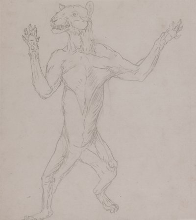 Tutkimus ihmisasennossa seisovasta tiikeristä, vertailevasta anatomisesta näyttelystä ihmiskehon rakenteesta tiikerin ja linnun rakenteen kanssa, 1795-1806 (grafiitti ohuella kudospaperilla) tekijältä George Stubbs
