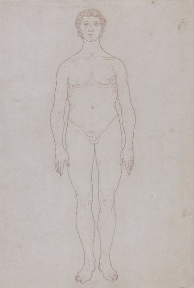 Tutkimus ihmishahmosta, etunäkymä (taulukon VI ääriviivapiirros) tekijältä George Stubbs