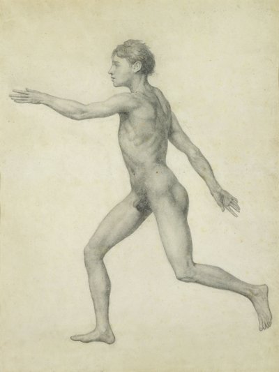 Koko ihmishahmo vasemmalta, sivulta katsottuna sarjasta "Vertaileva anatominen esitys ihmiskehon rakenteesta tiikerin ja linnun rakenteen kanssa tekijältä George Stubbs