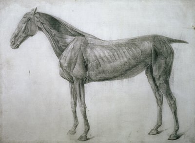 Huonekalut ja erilaiset esineet 1100- ja 1300-luvuilta tekijältä George Stubbs