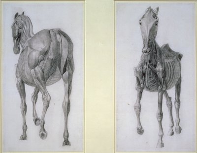 Huonekalut ja erilaiset esineet 1100- ja 1300-luvuilta tekijältä George Stubbs