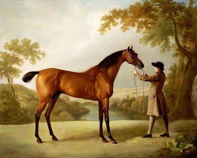 Tristram Shandy, sulhanen pitämä kilpahevonen laajassa maisemassa, n. 1760 tekijältä George Stubbs
