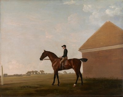 Turf, Jockey ylös, Newmarketissa tekijältä George Stubbs