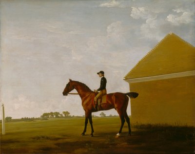Turf, Jockey ylhäällä, Newmarketissa tekijältä George Stubbs