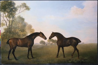 Kaksi Hunteria ulkona Grassissa tekijältä George Stubbs