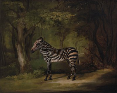 Seepra tekijältä George Stubbs