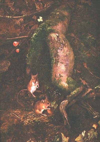 Peltohiiriä puun juurella, 1876 tekijältä George Thomas Rope