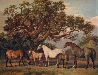 Hautajaiset tammat ja varsat, 1700-luvun loppu, 1922 tekijältä George Townley Stubbs