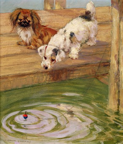 Peke ja terrieri tekijältä George Vernon Stokes