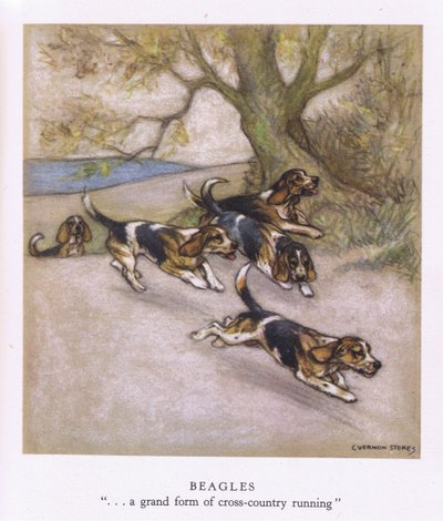 Beaglet (värilitro) tekijältä George Vernon Stokes