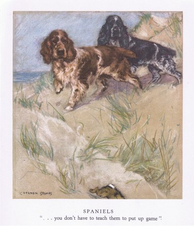 Spanielit (värilitografia) tekijältä George Vernon Stokes