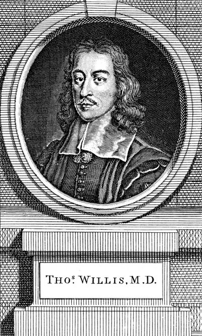 Thomas Willis, 1600-luvun englantilainen lääkäri, 1742 tekijältä George Vertue