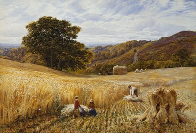 Sadonkorjuuaika lähellä Holmbury Hilliä, Surrey tekijältä George Vicat Cole