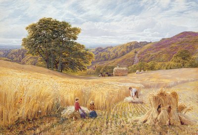 Sadonkorjuuaika lähellä Holmbury Hilliä, Surrey, 1865 (wc ja vartaloväri paperilla) tekijältä George Vicat Cole