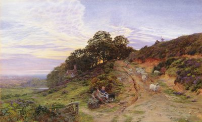 Pitch Hill lähellä Ewhurstia tekijältä George Vicat Cole