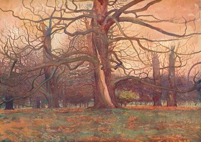 "Study of an Oak Tree", c1878 1903-1904 tekijältä George Wilson