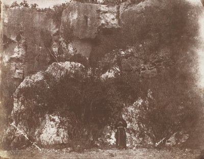 Selvian puutarha, Syracuse, Sisilia, 1846. tekijältä George Wilson Bridges