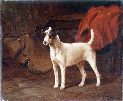 Jack Russell seisoo valmishuoneessa tekijältä George Wright