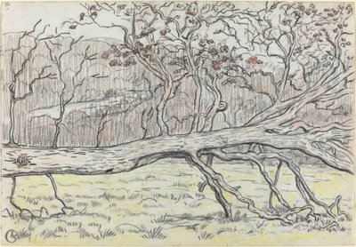 Kaadettu puu, Normandia tekijältä Georges Lacombe