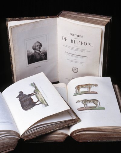 Asetelma "Buffonin täydellisistä teoksista", luonnontieteilijä Georges Louis Leclerc, Buffonin kreivi (1707 - 1788). Kaiverrus vuodelta 1837. tekijältä Georges Louis Leclerc