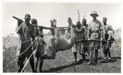 Leijona Bahr el Ghazalissa, Am Dafok, 1925 (gelatiinihopeaprintti) tekijältä Georges Marie Haardt