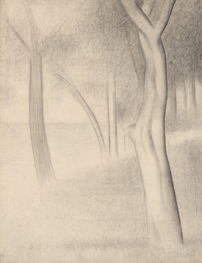 Puut (tutkimus La Grande Jattea varten) tekijältä Georges Seurat