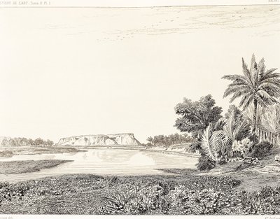 Irak, näkymä Babylonista, piirustus F, Thomas Georges Perrotin (1832-1914) ja Charles Chipiezin (1835-1901) kaiverruksesta, Histoire de l
