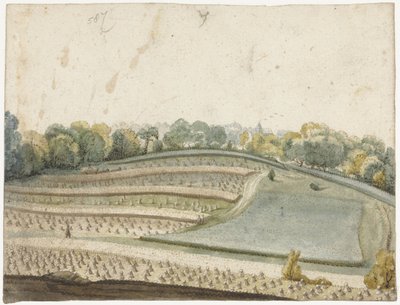 Panoraama aaltoilevasta vehnäpellosta ylhäältä katsottuna tekijältä Gerard ter Borch (I)