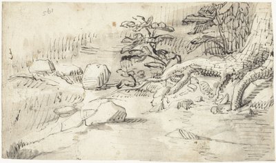Puron lähellä olevan puun juurien tutkiminen tekijältä Gerard ter Borch (I)