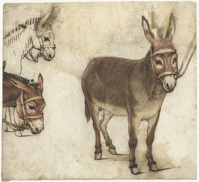 Opintolevy aasilla tekijältä Gerard ter Borch (I)