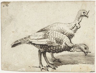 Kaksi kalkkunaa tekijältä Gerard ter Borch (I)