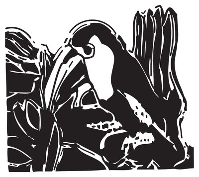 Toucan tekijältä Gerhardt Isringhaus