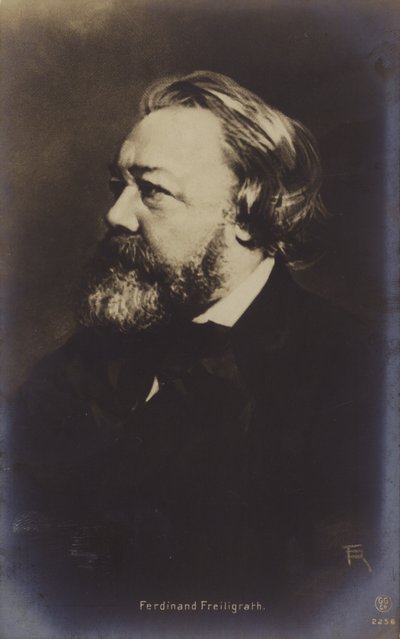 Ferdinand Freiligrath (1810-1876), saksalainen runoilija (s/w-kuva). tekijältä German Photographer