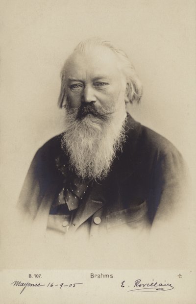 Johannes Brahms, saksalainen säveltäjä ja pianisti (1833-1897) (s/w-kuva) tekijältä German Photographer
