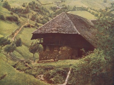 Perinteinen Schwarzwaldin maalaistalo, Saksa (värikuva) tekijältä German Photographer