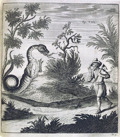Pelottava lohikäärme, n. 1660 tekijältä German School
