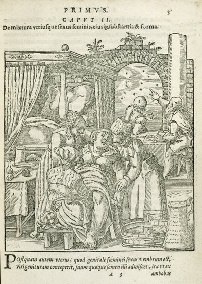 Nainen työssä, kuvitus Rueffin 1587 kirjan On the Conception and Growth of Man, luvusta 2, kirja 1 tekijältä German School