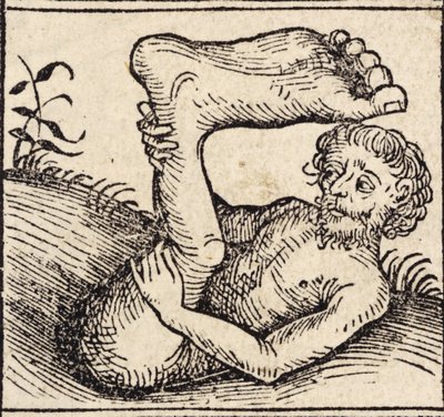 Sciopod, mies, jolla on turvonnut jalka, Nürnbergissä julkaistun Hartmann Schedelin (1440-1515) kirjasta "Registrum Hujus Operis Libri Cronicarum cum Figuri et Imagibus ab Inicio Mundi" tekijältä German School